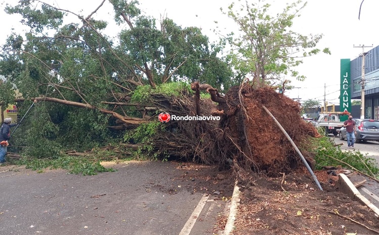 VÍDEO: Temporal com chuva de granizo provoca estragos em Porto Velho