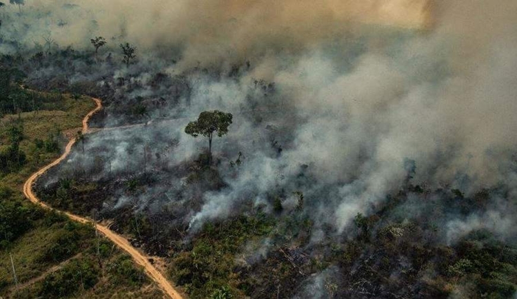 SÓ FOGO: Em 24 horas são registrados 781 novos focos de queimadas em Rondônia