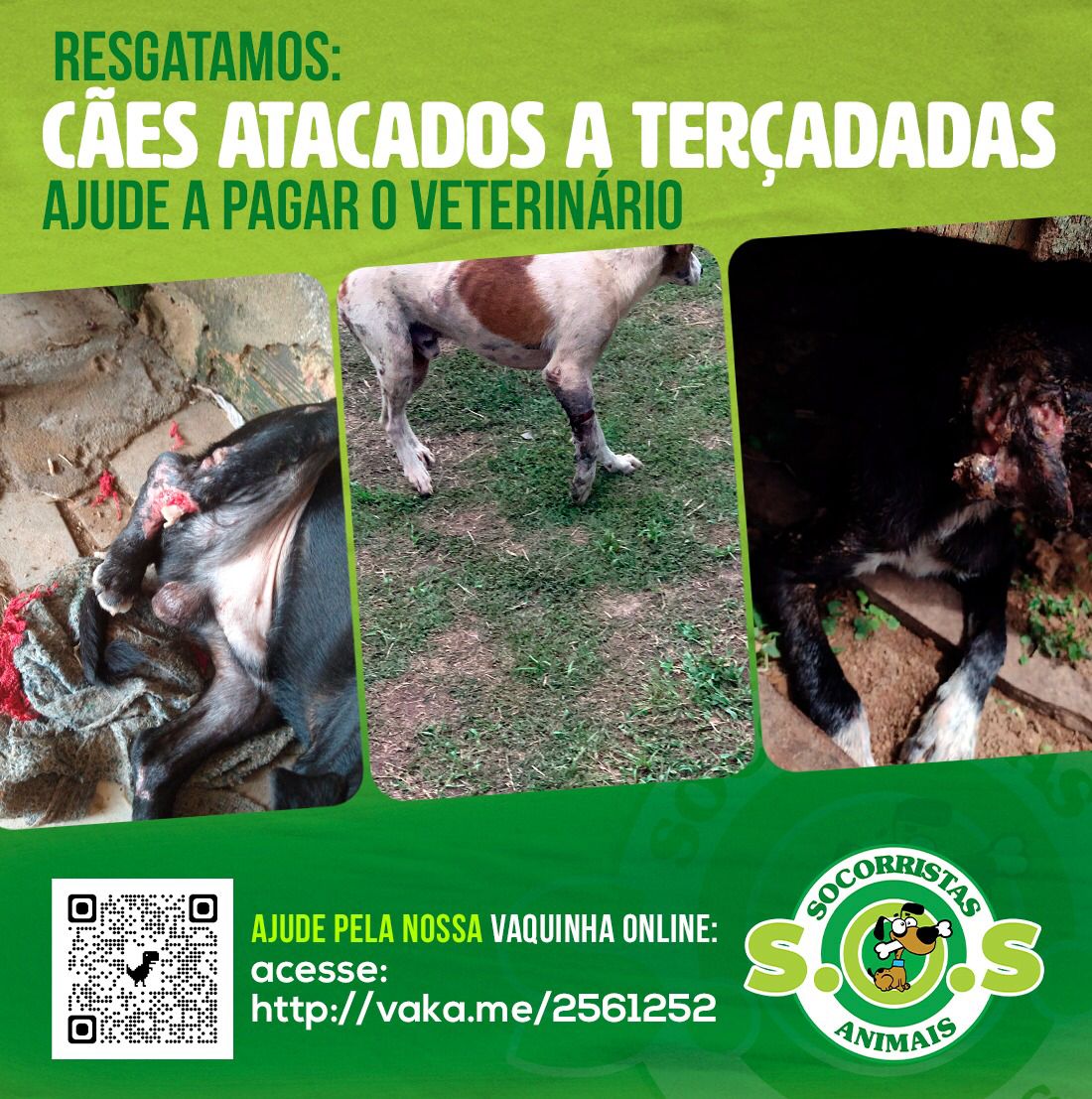 AJUDA: Abrigo Socorristas Animais pede socorro e faz vaquinha on-line