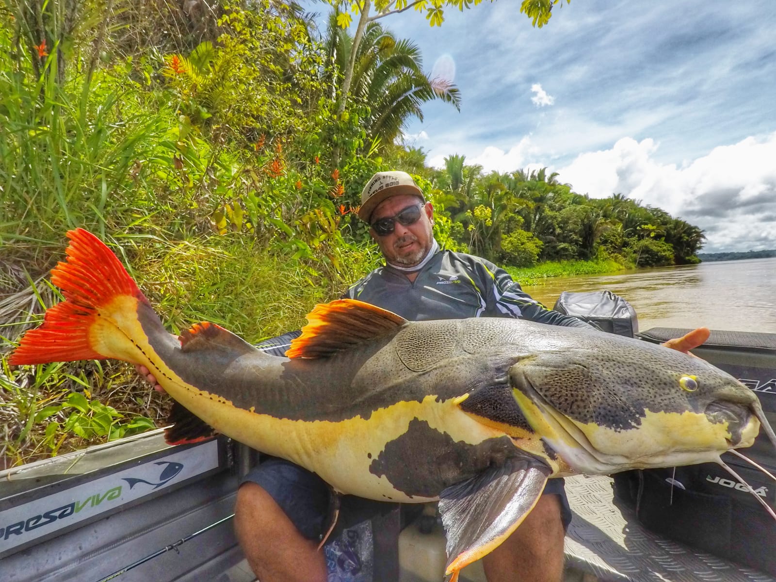 EMOÇÃO: Pescador ‘pega’ Pirarara de 1,5 metros e 70 kg no Madeirão