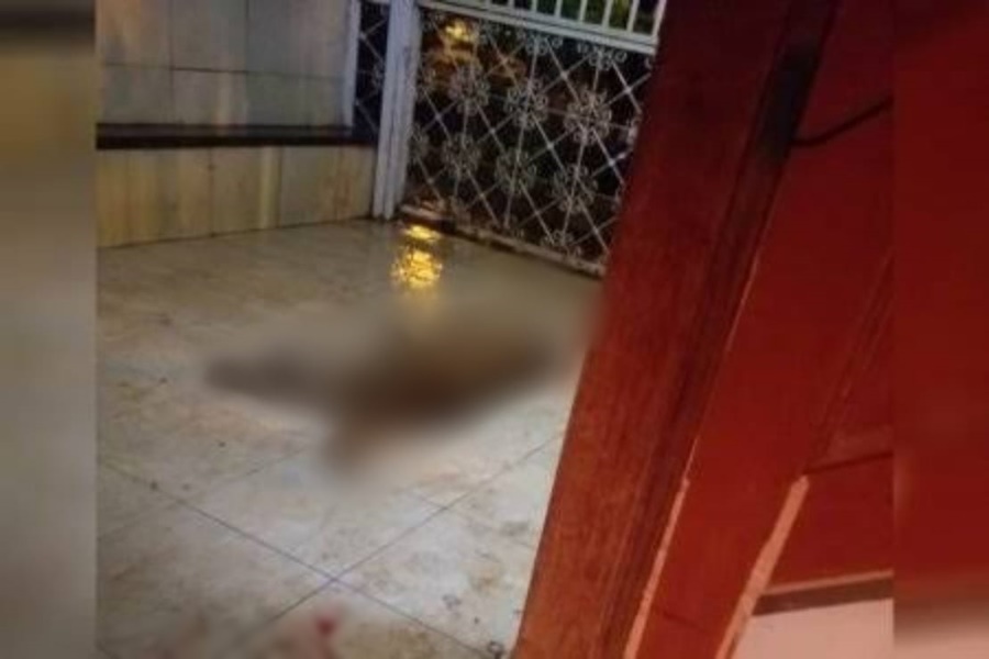 CRUELDADE: Cachorro é abatido a pauladas por ladrão que tentava furtar residência