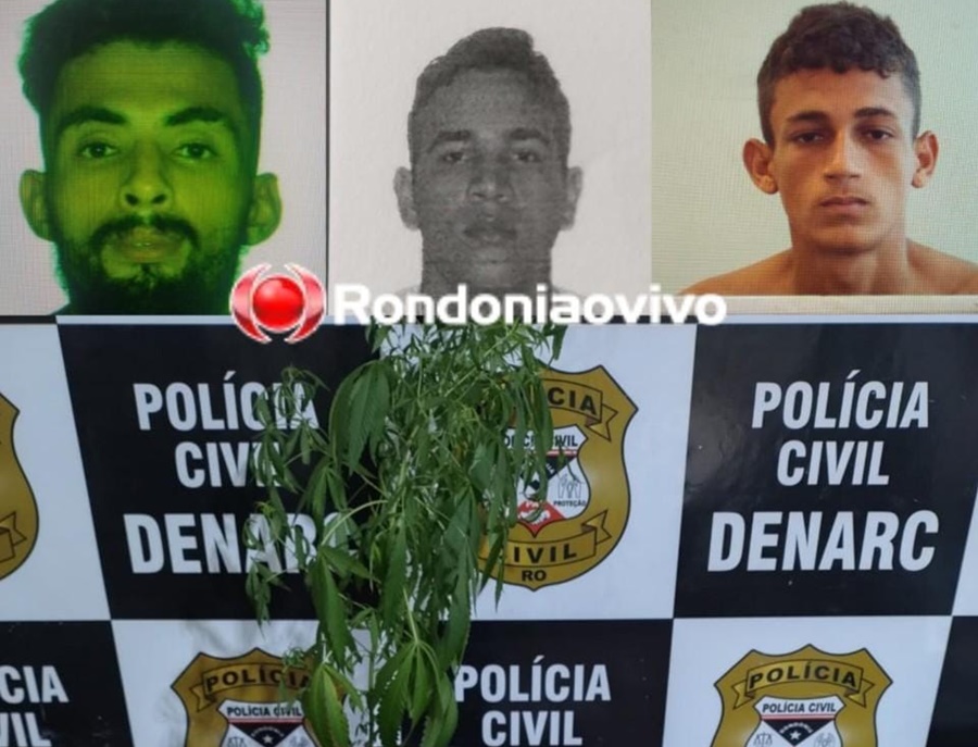 NO CONDOMÍNIO: Denarc prende membros de grupo criminoso com drogas, armas e muda de maconha