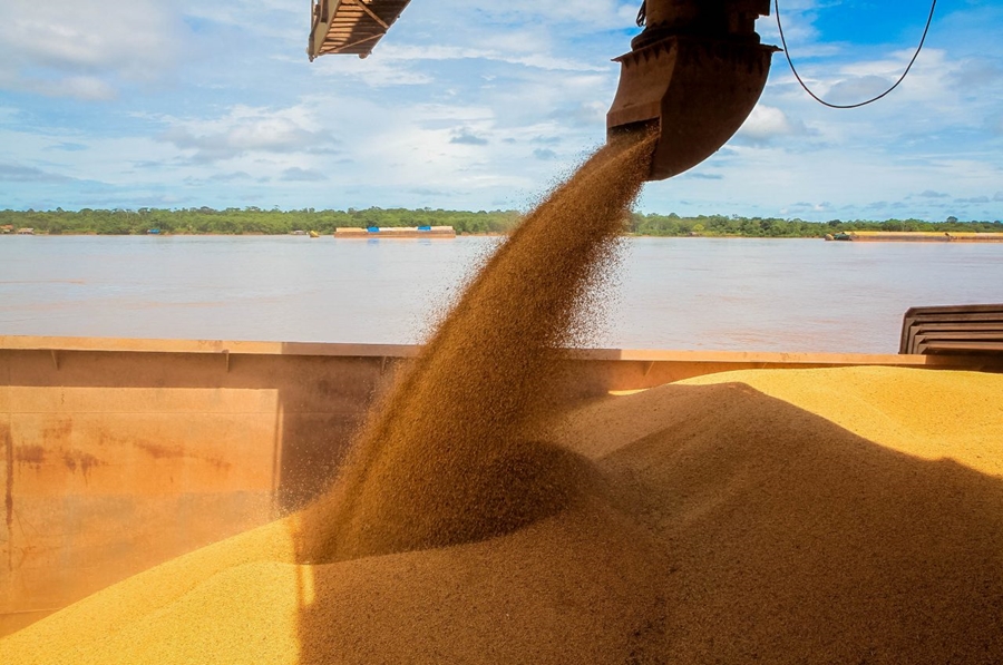 PRODUÇÃO: Período de semeadura da soja inicia neste mês em Rondônia