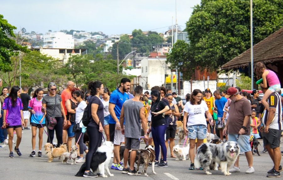 MÁRCIA SOCORRISTA: Vem aí a 1ª Cãominhada de Porto Velho