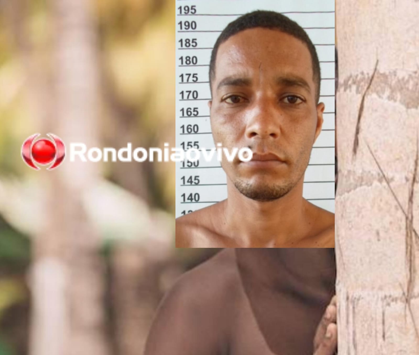 NÃO ESCAPOU: Foragido tenta se esconder atrás de árvore ao ver polícia e acaba preso 