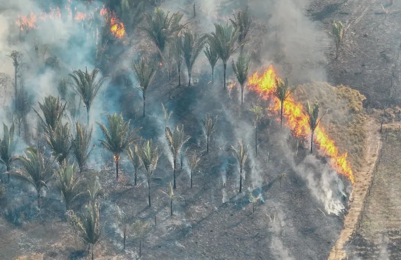 CONTRA O FOGO: MPRO inicia procedimento para combate às queimadas e incêndios florestais