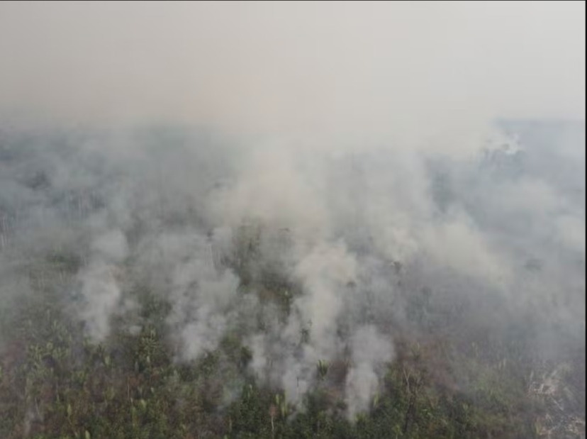 UM MÊS: Parque Guajará-Mirim continua com incêndio que já destruiu quase 50 mil campos de futebol