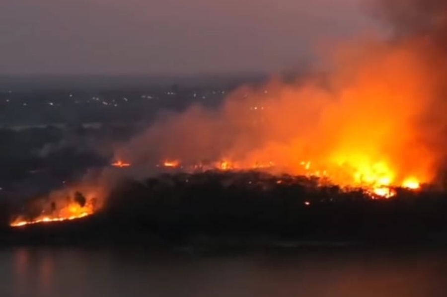 SUSPEITO: Parque Estadual Guajará Mirim continua sendo destruído pelo fogo