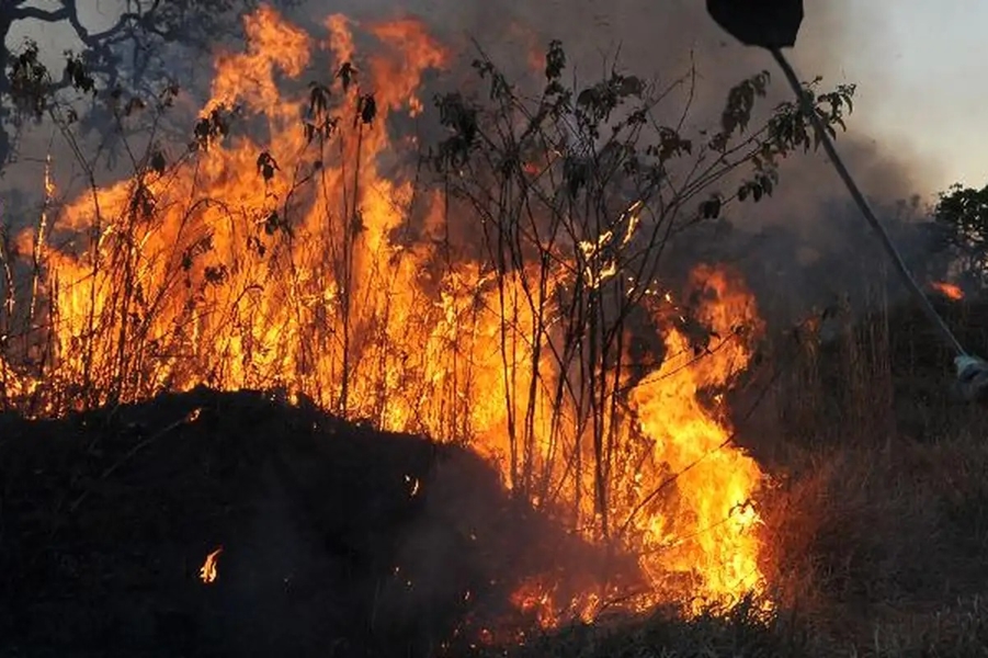 FORNO: Brasil concentra 76% dos incêndios na América do Sul