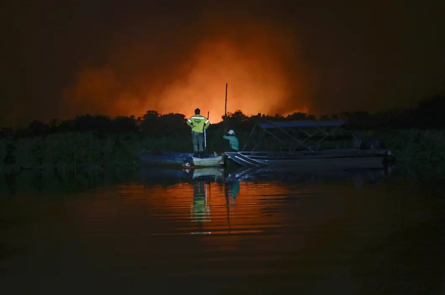 DESTRUIÇÃO: Brasil teve 11,39 milhões de hectares atingidos pelo fogo este ano