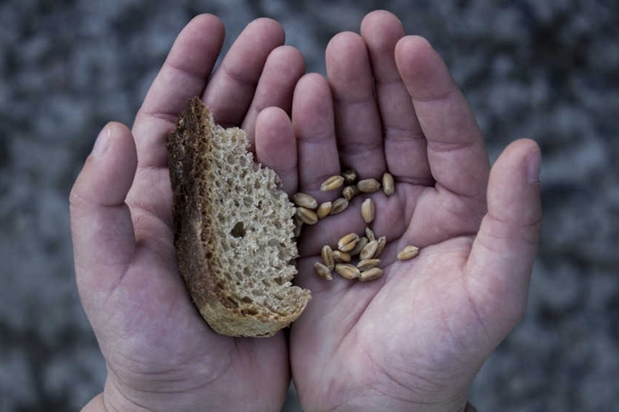 SEM COMIDA: Mudanças climáticas agravam insegurança alimentar, diz pesquisadora