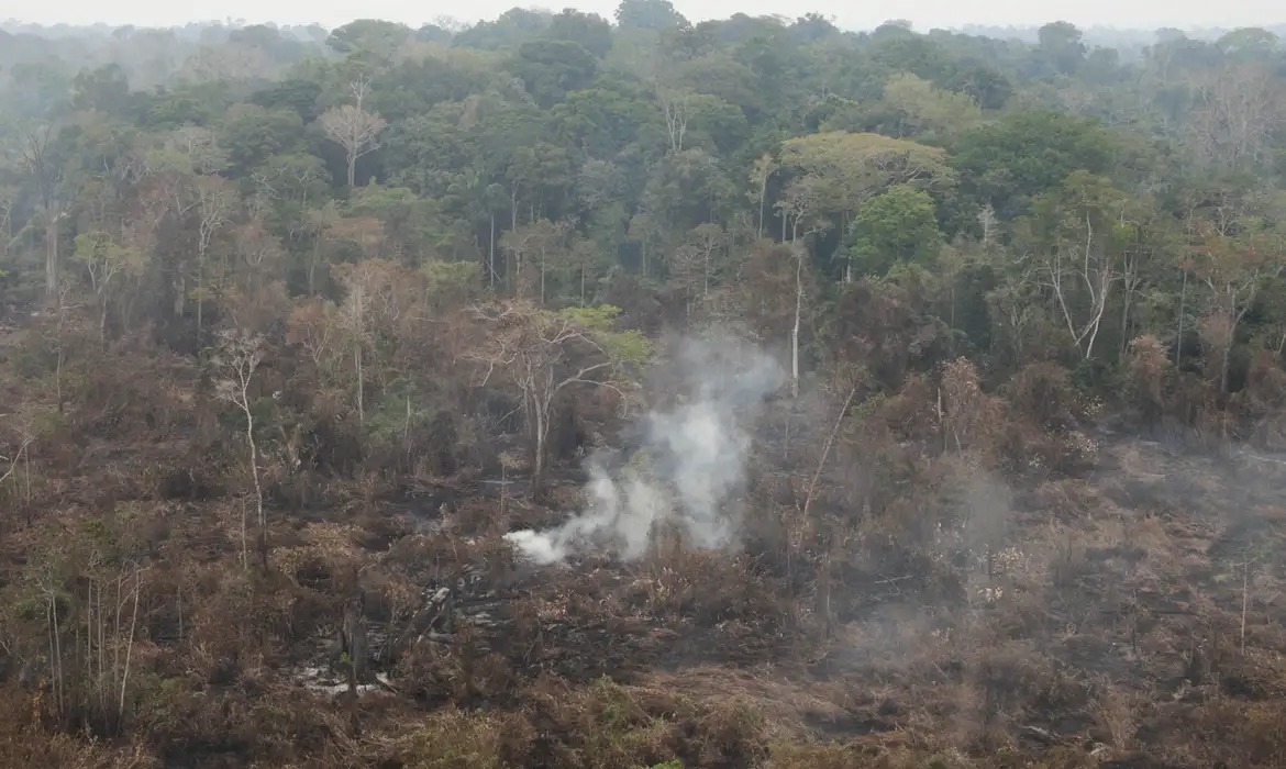 FOGO: Delegado da PF diz que há indícios de ação coordenada em incêndios