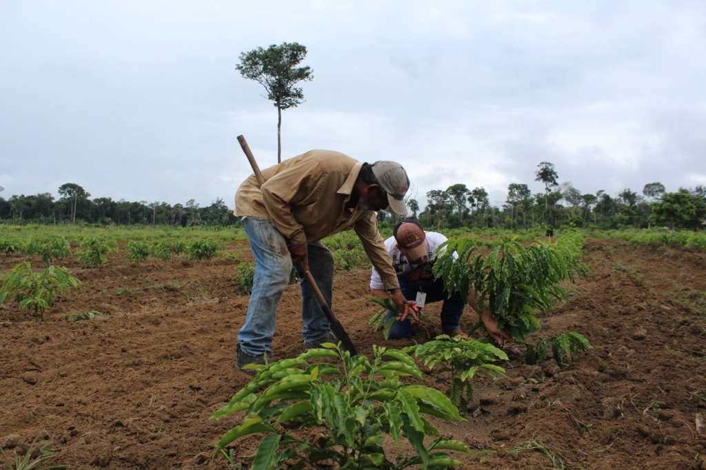 MEIO AMBIENTE: Taxa de desmatamento na Amazônia caiu 30,6%, a menor em 9 anos 