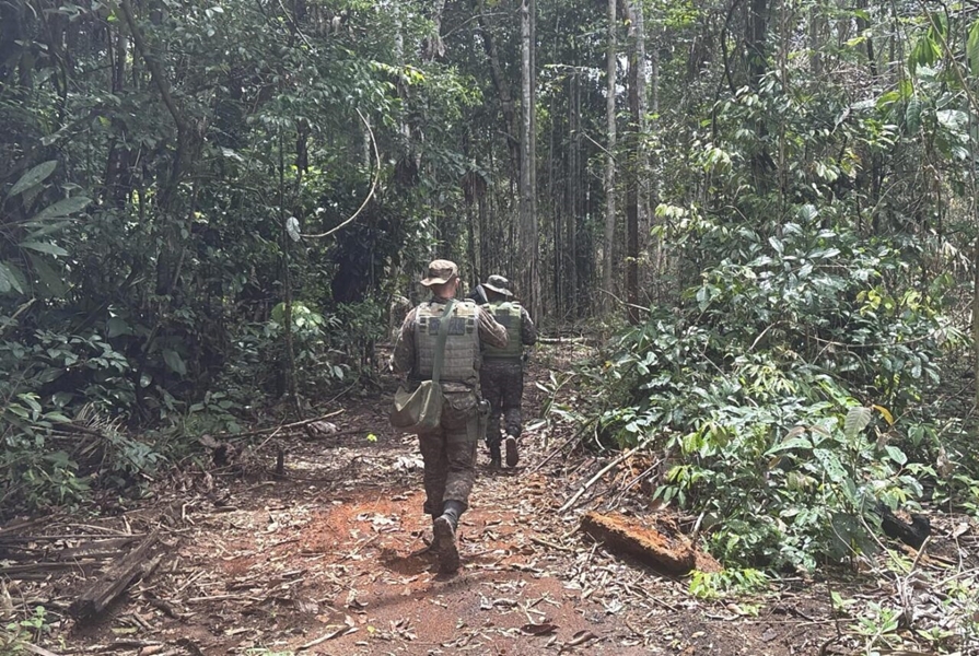 OPERAÇÃO HILEIA: Governador intensifica combate ao desmatamento com resultados expressivos