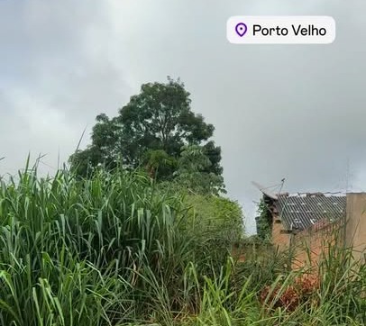 PEDIDO DE PROVIDÊNCIA: Moradores pedem limpeza em terreno baldio no Lagoinha, em PVH
