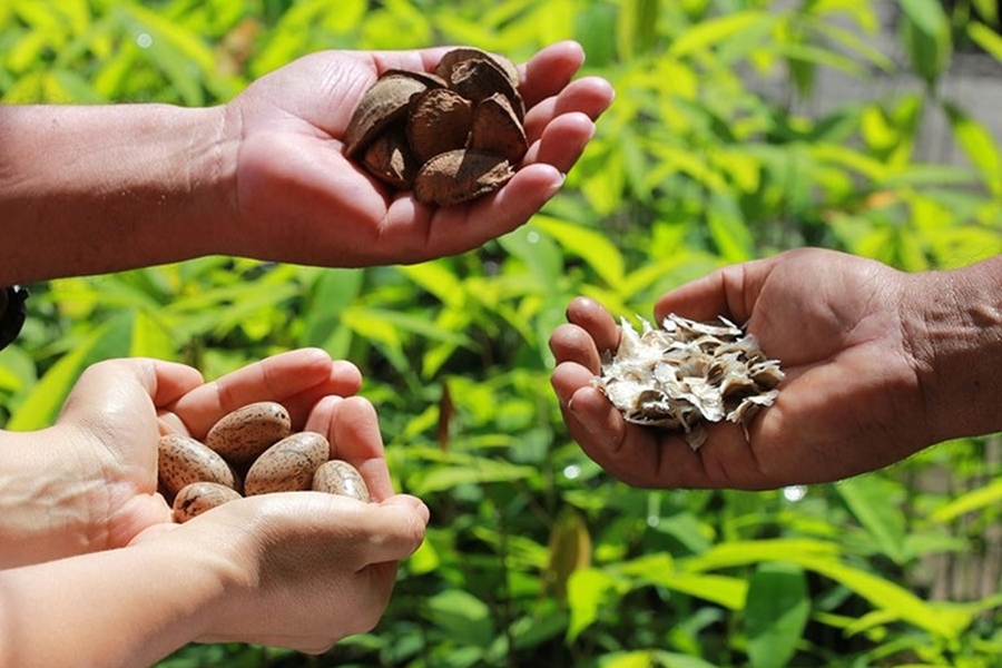 RECURSOS FEDERAIS: Amazônia Legal inicia série de plenárias para debater aplicação 