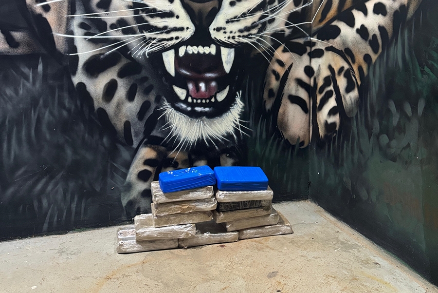 OPERAÇÃO NA FRONTEIRA: Polícia apreende drogas em ônibus interestadual em Nova Mamoré