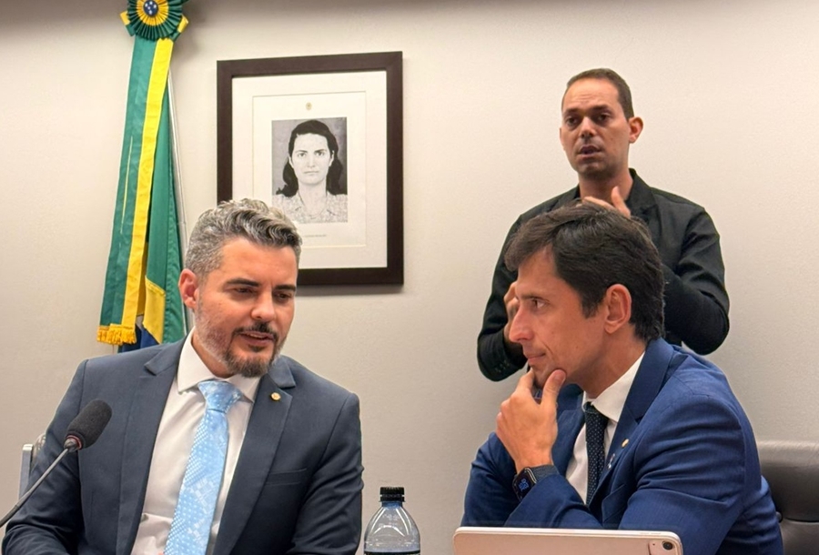 THIAGO FLORES: Deputado defende empreendedorismo inclusivo e tem relatório aprovado na Câmara