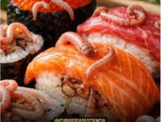 SAÚDE EM RISCO: Estudo revela que o Sushi contém 283 vezes mais parasitas do que há uma década