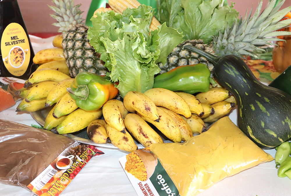 EM COLORADO DO OESTE: PAA inicia entregas e fortalece agricultura familiar no Cone Sul de Rondônia