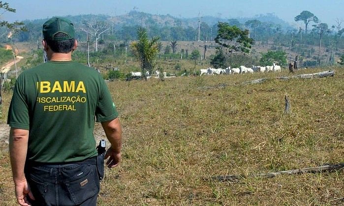 PRESSÃO AMBIENTAL: Desmatamento no Brasil cai 20,6% e fica abaixo de 1 milhão de hectares em 2025