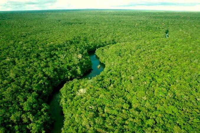 REJEIÇÃO: Criação de parque nacional em Rondônia gera reação no setor produtivo