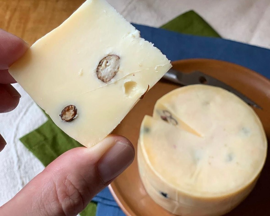 IGUARIA: Queijo feito com formigas vira iguaria premiada e supera R$ 200 o quilo