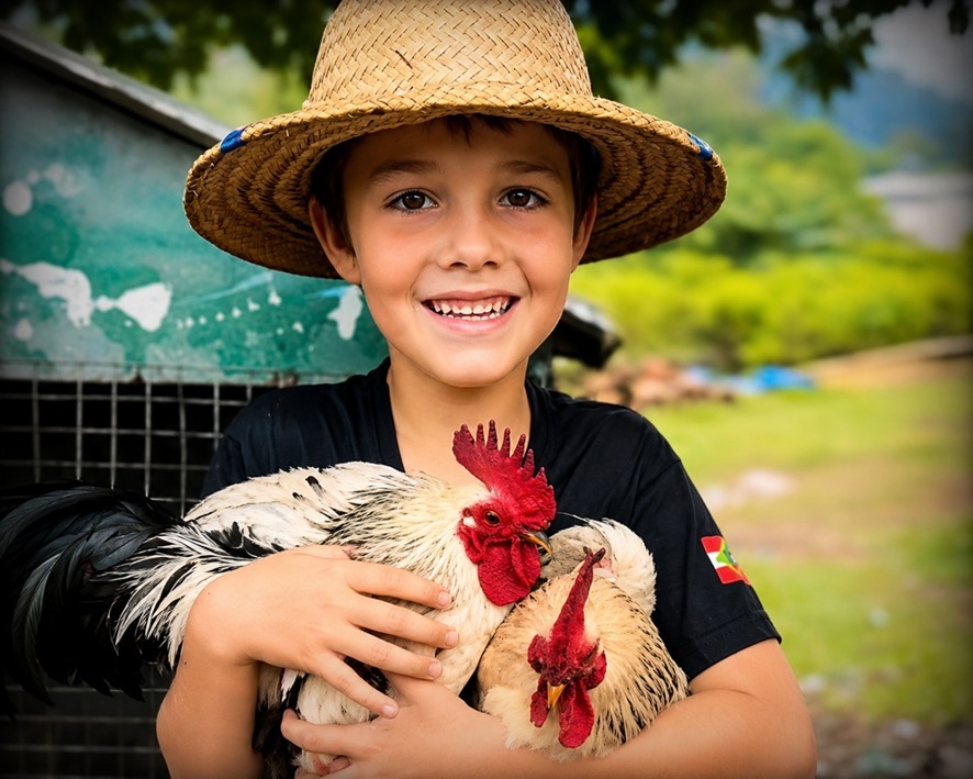 FAZENDEIRO MIRIM: Menino troca carrinhos por garnizés e hoje cuida de mais de 20 aves