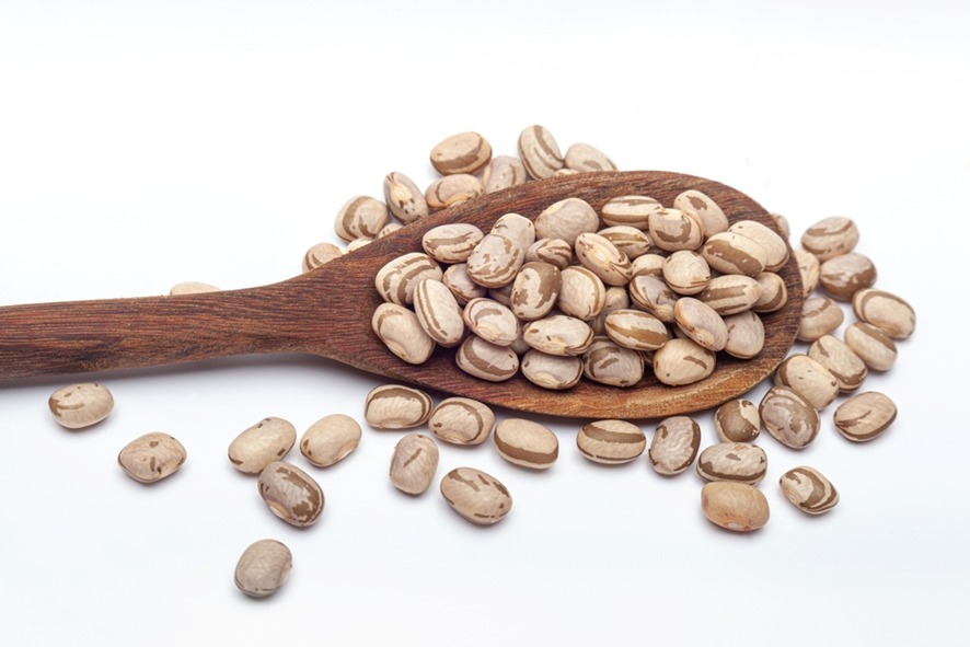 ALTO VALOR: Pesquisadores transformam grãos quebrados de feijão em ingrediente proteico
