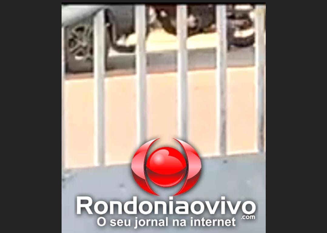 VÍDEO: Motociclista bate em cheio na traseira de carro na zona Leste
