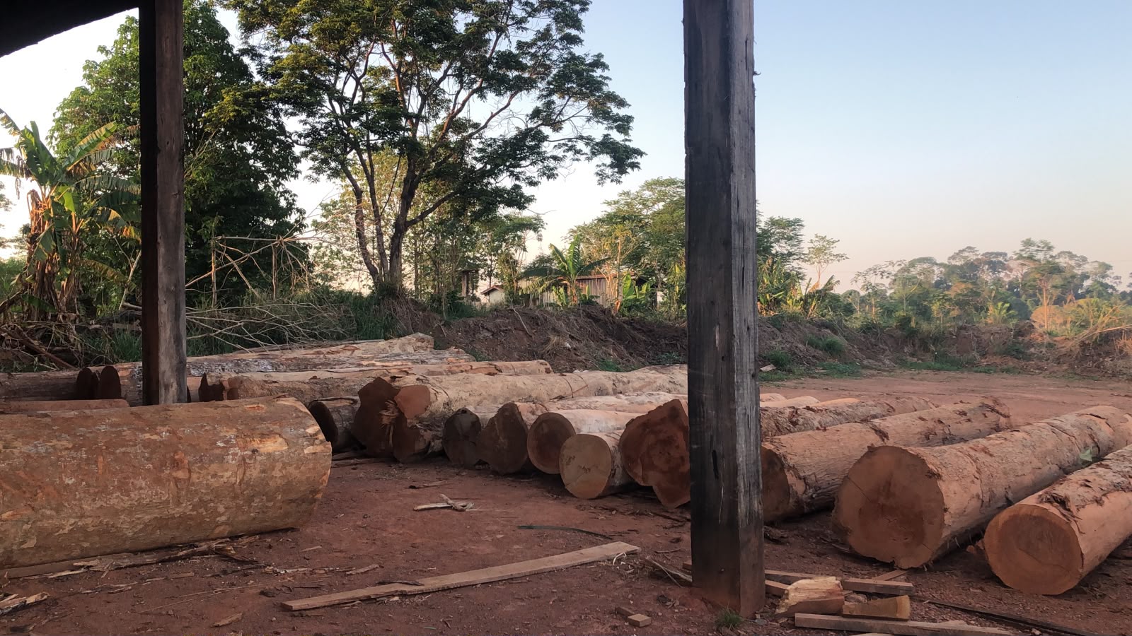 OPERAÇÃO PF:  PF combate exploração ilegal de madeira em terras indígenas em Rondônia