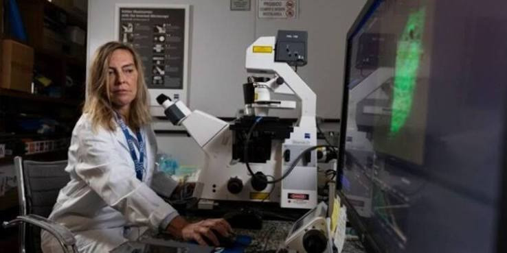 INOVADOR: Rondônia articula parceria para trazer polilaminina a pacientes com lesão medular
