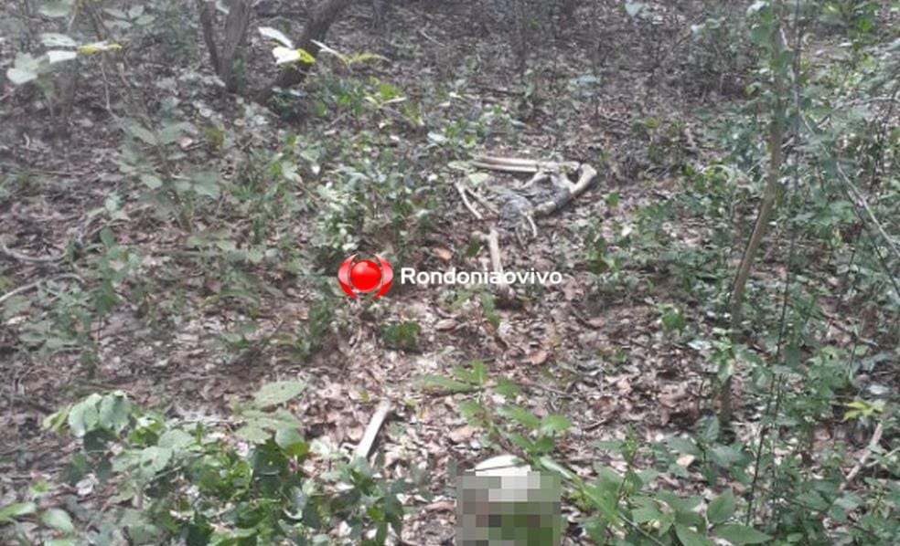 NA MATA: Coletor de castanhas aciona a PM após localizar restos mortais