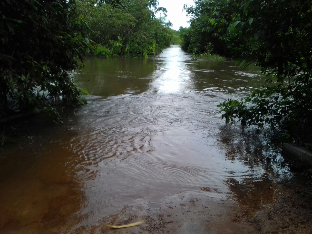 Ponte do Igarapé do Caracol fica inundada por conta da cheia do Rio Pardo