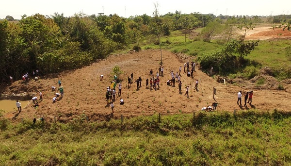 OBRA: MFM Soluções Ambientais recupera vegetação de aterro