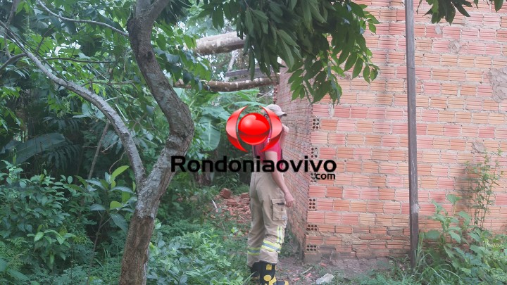 DESTRUIÇÃO: Temporal derruba árvore em cima de residência na zona Leste