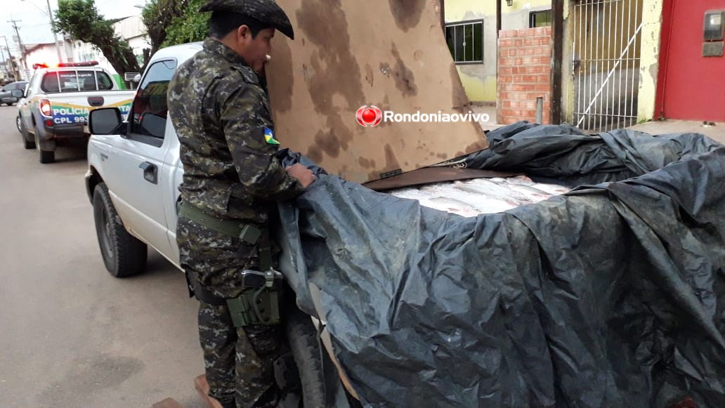 ENTREVISTA: Polícia faz operação e prende comerciante com 188 quilos de peixe