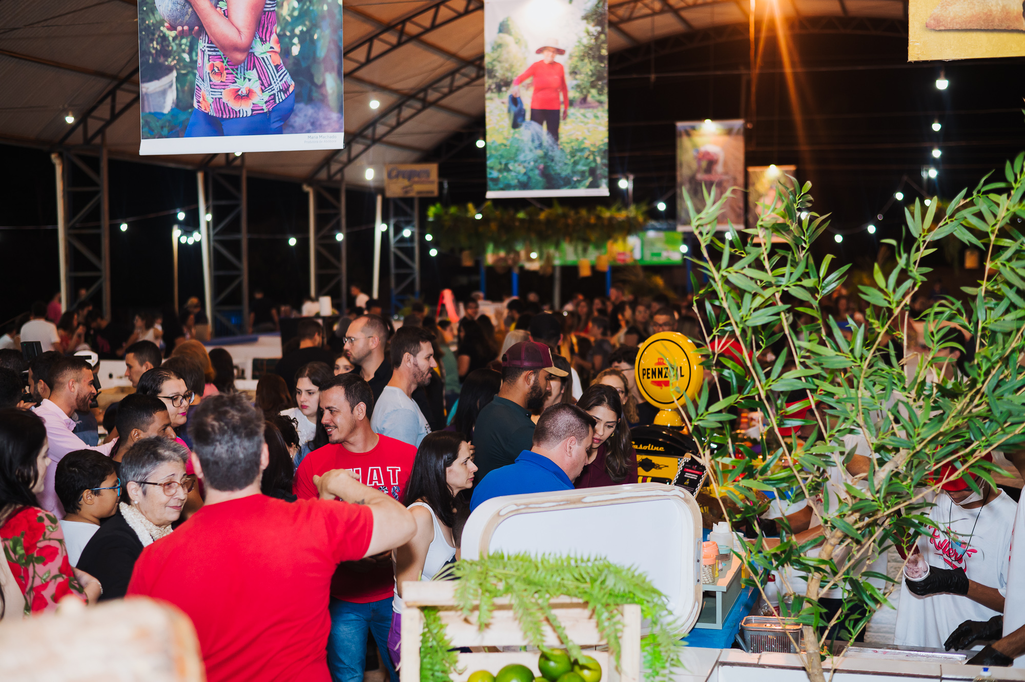 EM JULHO: Diversidade cultura e gastronômica marca festival em Vilhena 