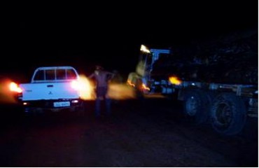 Operação da Funai e Batalhão de Polícia Ambiental apreende madeireiros no sul de Rondônia - Fotos