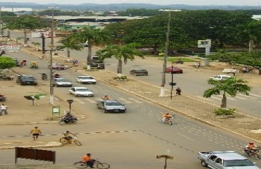 Prefeitura realiza leilão com madeiras apreendidas

