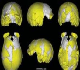 Crânios encontrados revelam detalhes de população 'prima' do homem moderno