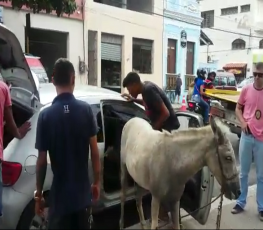 Homens são detidos transportando burro dentro de carro de passeio