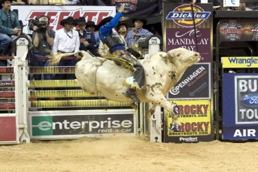 EXPO RODEIO SHOW - A mais nova Feira Agropecuária de Rondônia 