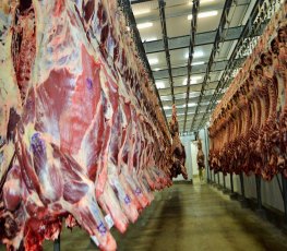 Reabertura da importação de carne por Hong Kong traz otimismo a Rondônia