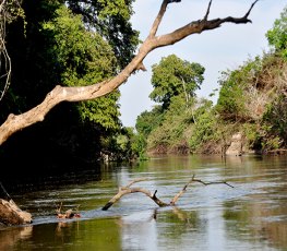 Avanços em sustentabilidade vão ser apresentados em fórum do meio ambiente no Amapá