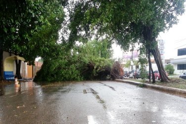 Tempestade em Porto Velho causa transtornos e prejuízos – Fotos