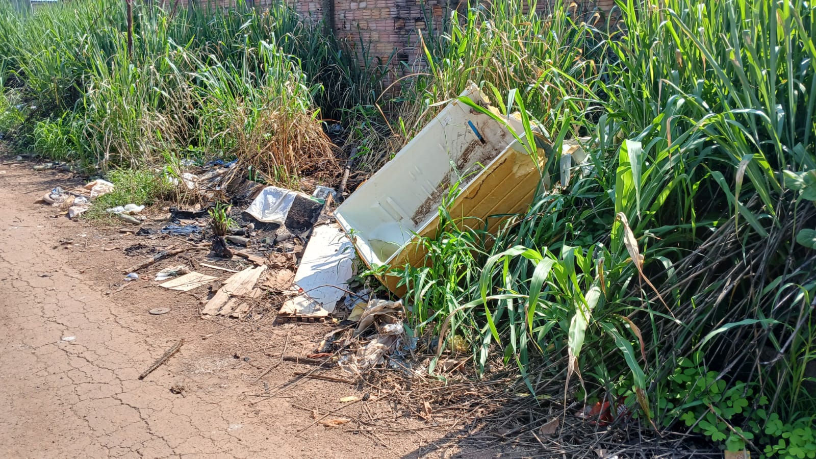 PEDIDO DE PROVIDÊNCIA: Lixo domina bairro Jardim Santana e moradores denunciam abandono 