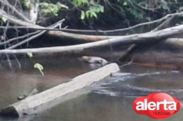 Corpo é encontrado boiando em rio 