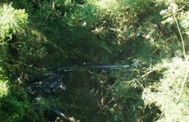 Pescador se perde na Reserva do Cautário e encontra sete corpos em acampamento 
