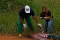 Homem morre atropelado e é  devorado por cães em RO
